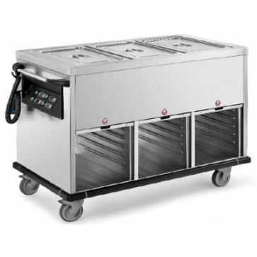 Carrello termico vasca unica struttura inox, cap. 2gn1/1 h 200 con 2 vani riscaldati mm 850x700x900 h